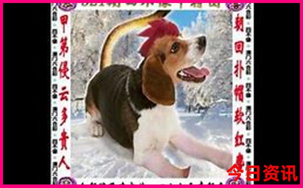 巴中夏季适合去的景区